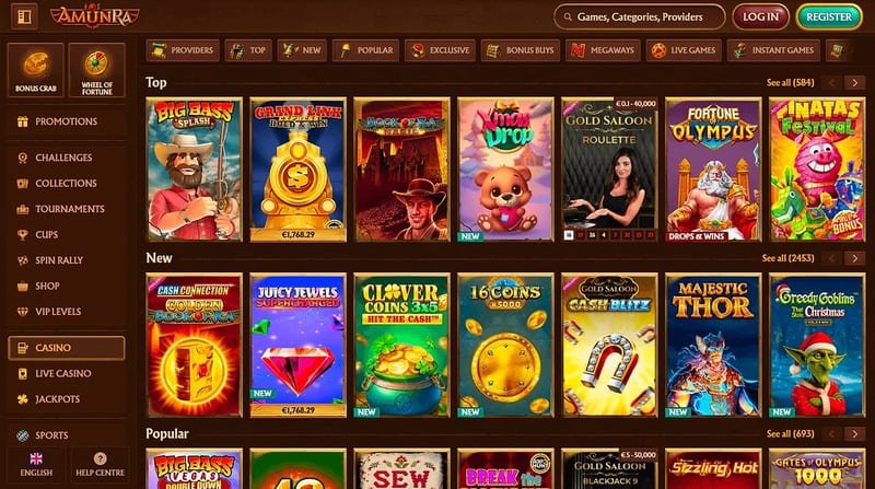 Amunra licencja i bezpieczeństwo – Szyfrowanie i ochrona danych